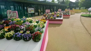 Park main entrance ticket box / Drop off