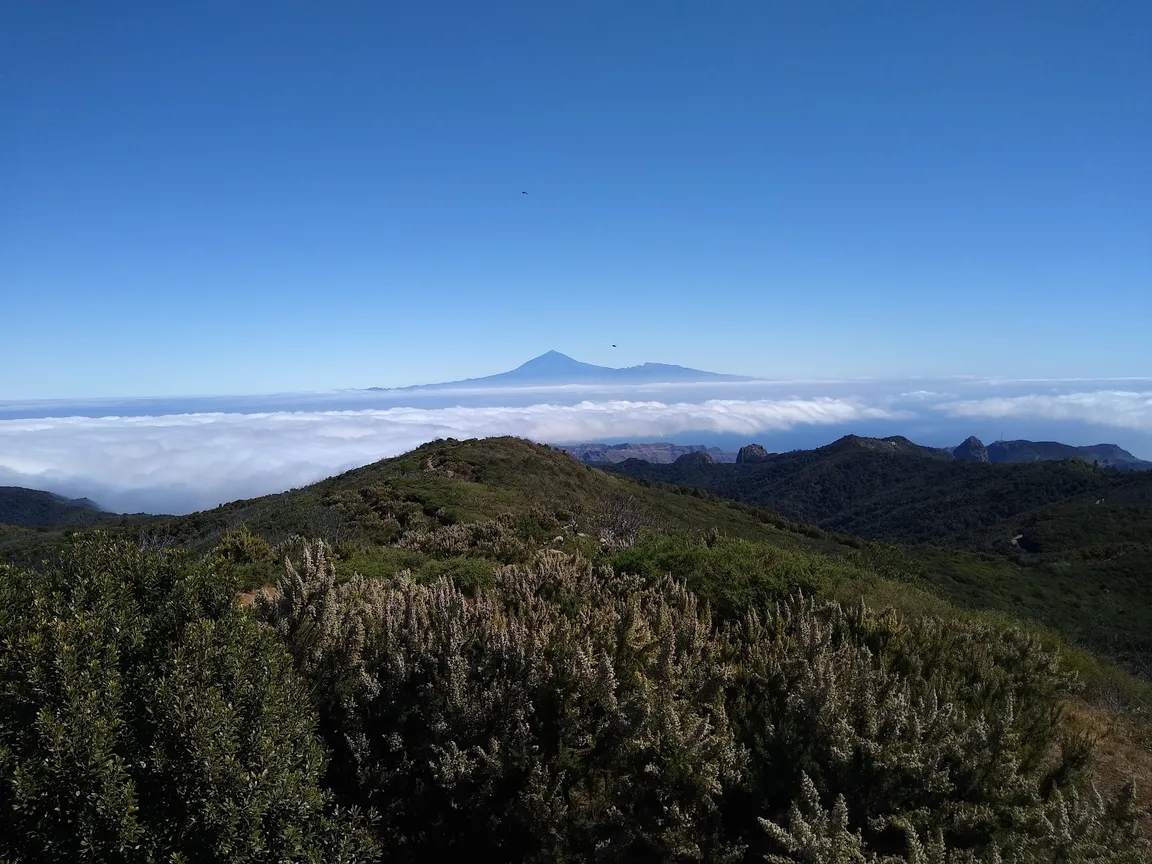 Gomera Walking