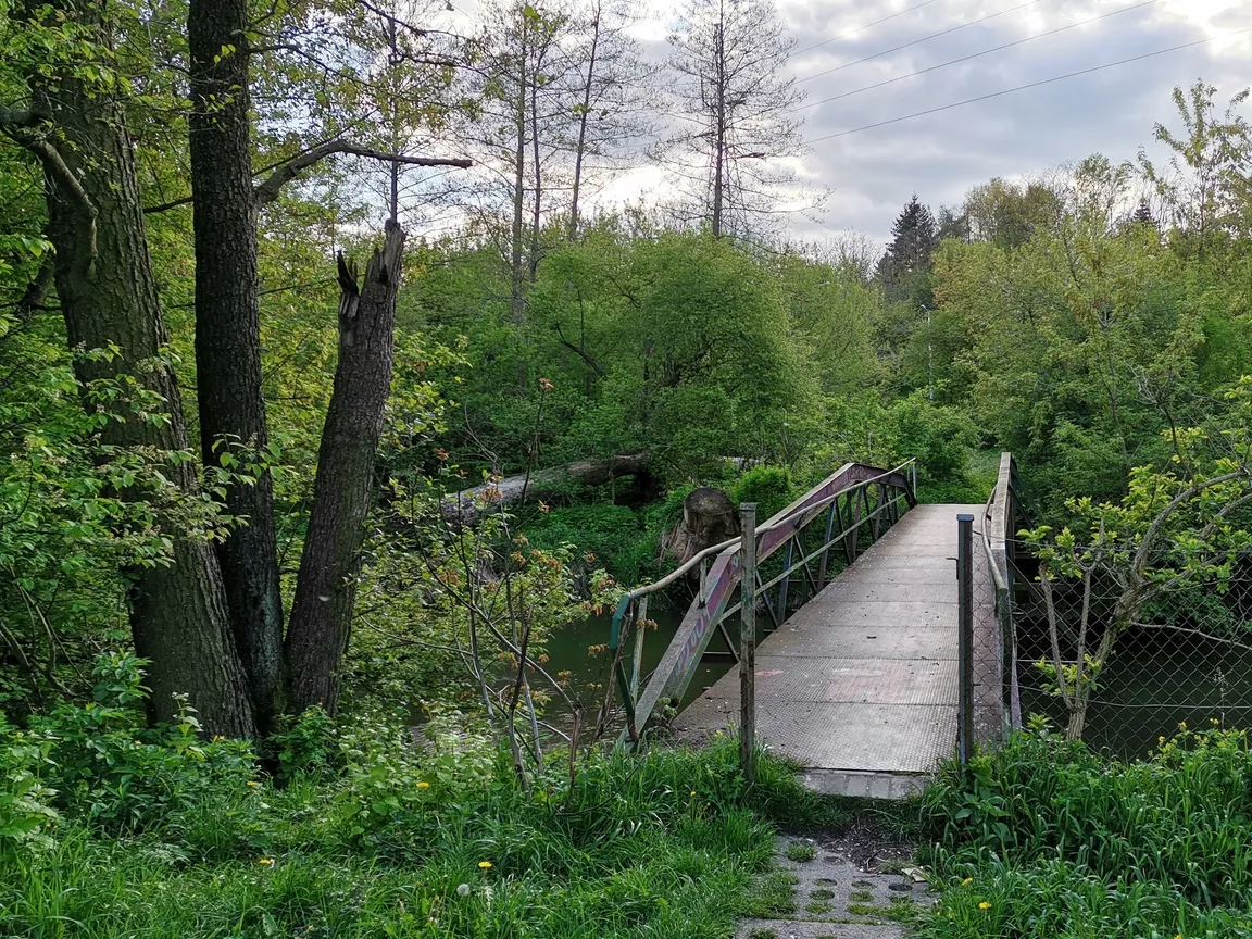 Ścieżka przyrodnicza