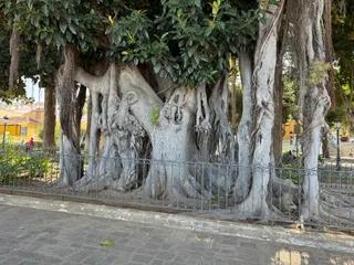 Plaza Andrés de Lorenzo Cáceres