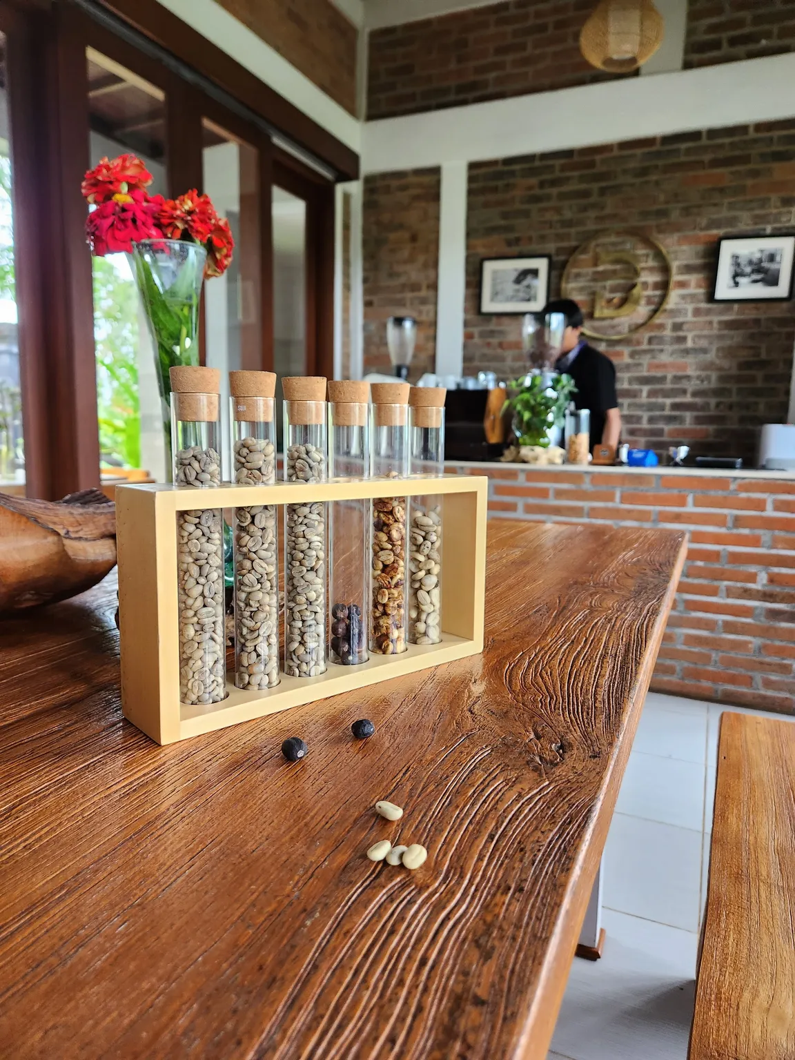 Bali Beans Plantation