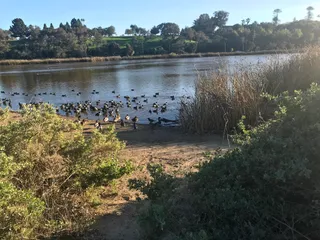 Andree Clark Bird Refuge