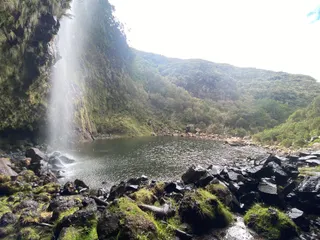 Levada do Alecrim