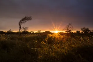 Otjiruze Hunting & Safaris