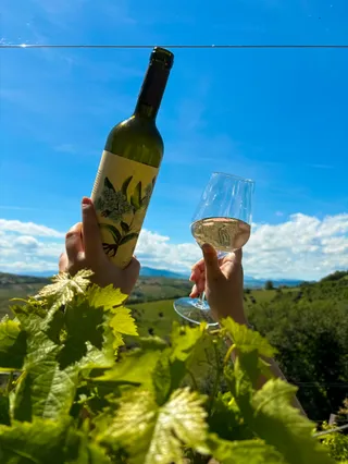 Tenuta Cocci Grifoni - Terrazza Cocci Grifoni