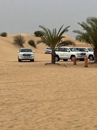 Sahara adventure