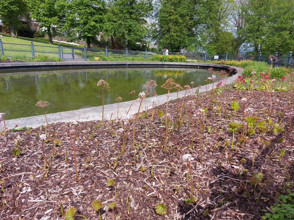 Brooke Park Derry