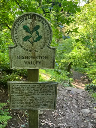 Bishopston Valley