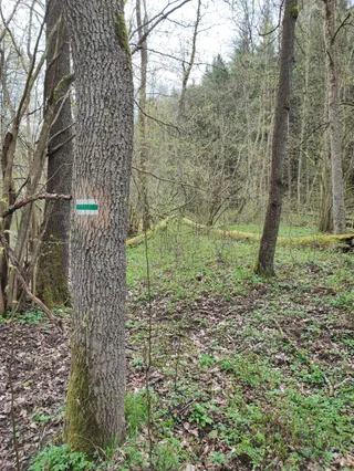 Rezerwat przyrody Wąwóz Siedmicki