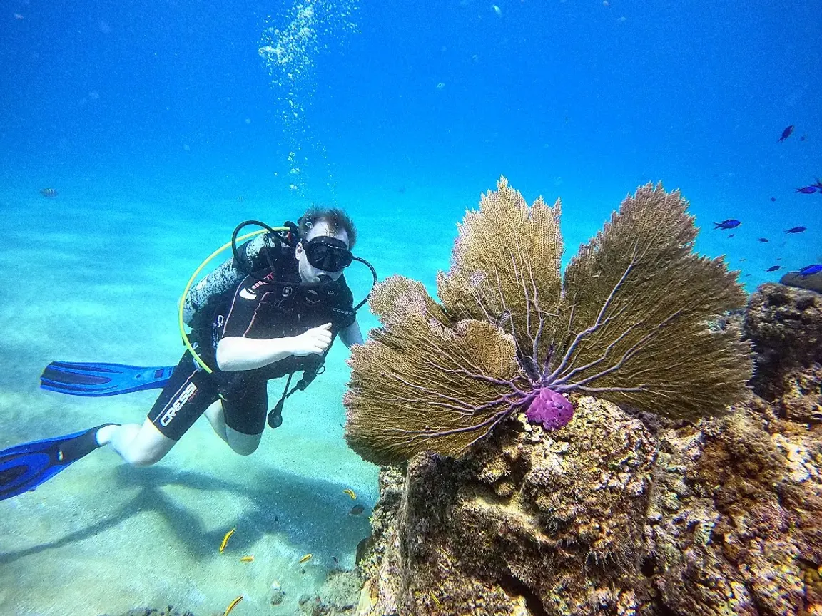 Superior Dive Sosua