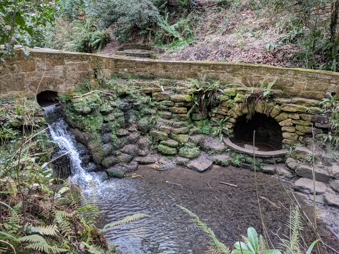 Yeovil Country Park