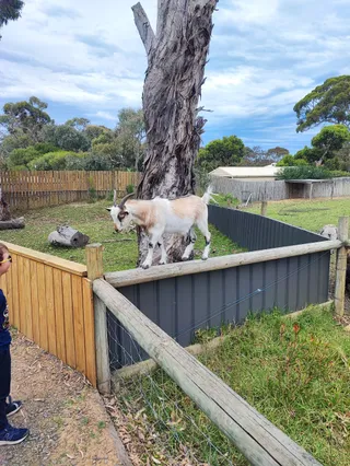 Urimbirra Wildlife Experience