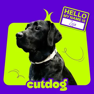 CutDog Grooming i Spa dla zwierząt