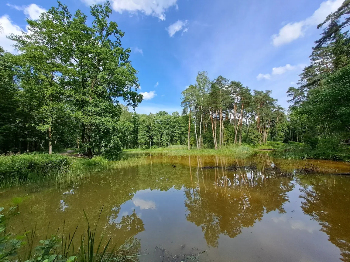 Tenczyński Park Krajobrazowy