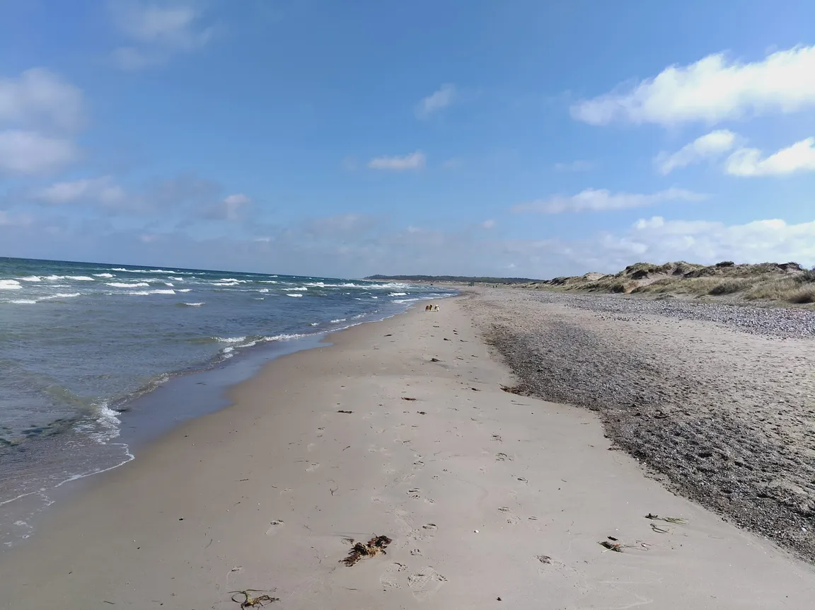 Tisvildeleje Beach