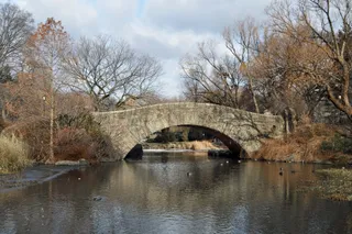 The Pond