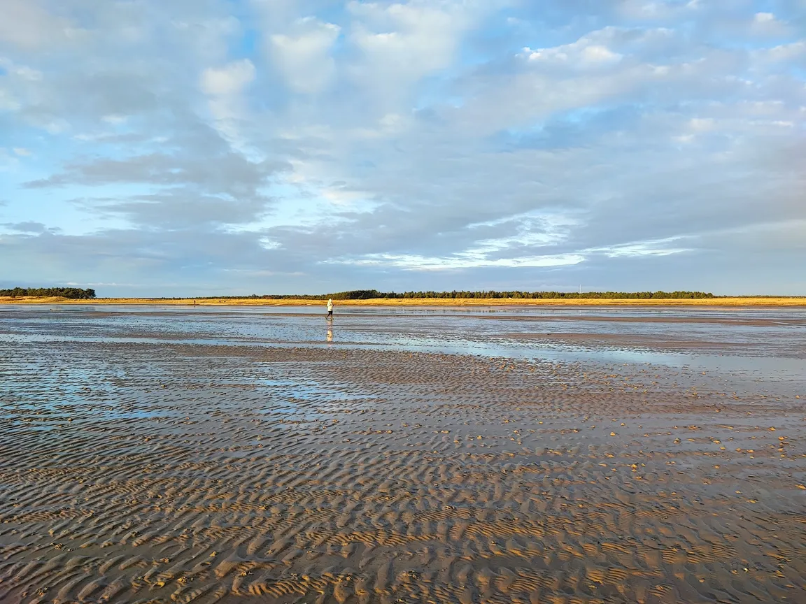 Wadden Sea National Park