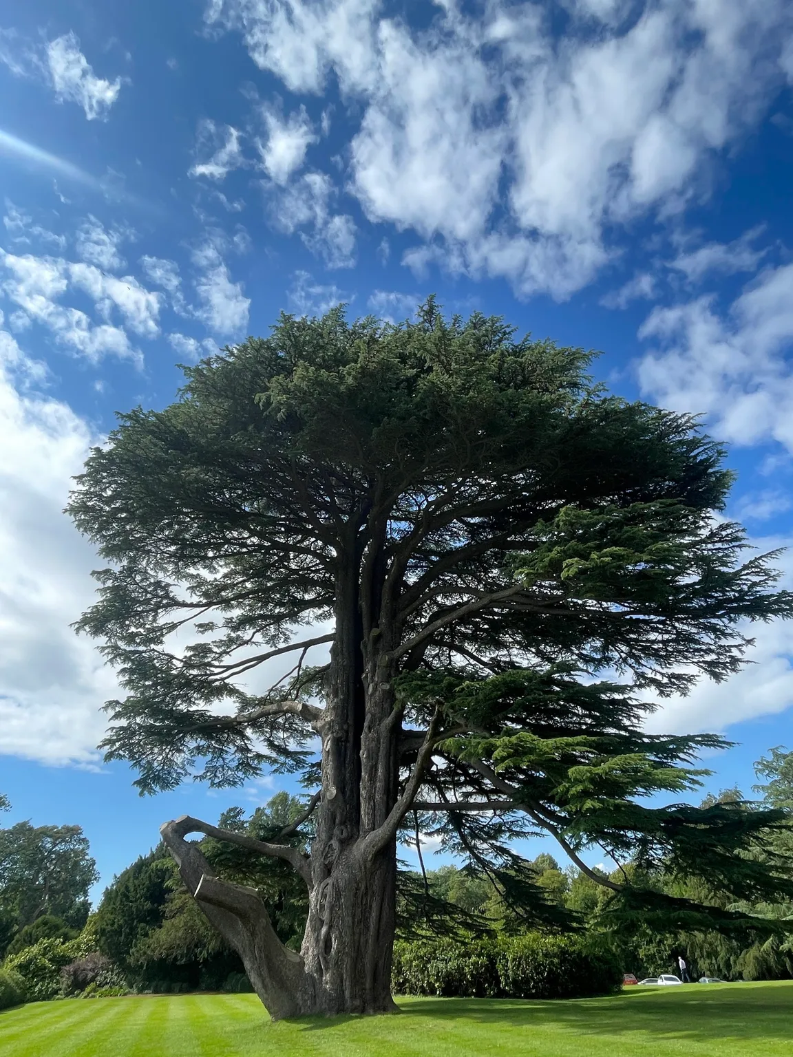 National Trust - Farnborough Hall