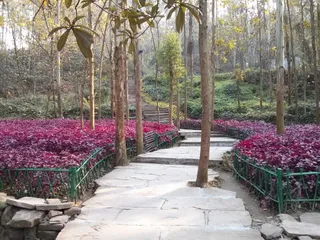 市民阳光健身步道
