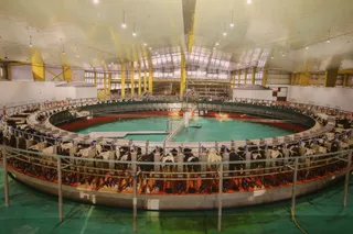 TotalEnergies Qatar