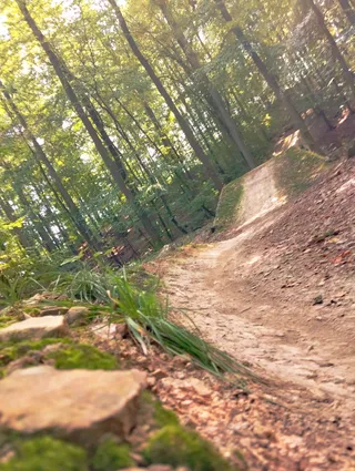 ZRS Bamberg Trailpark Michelsberger Wald