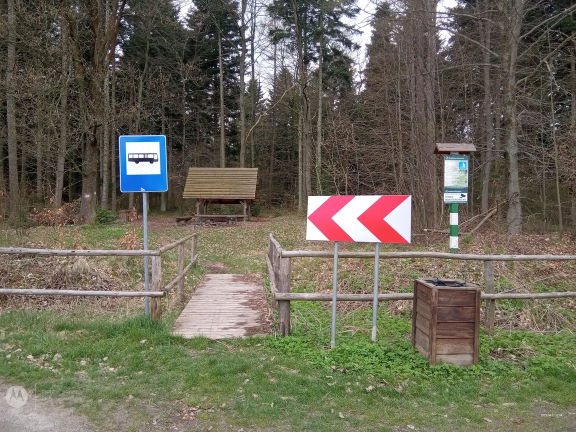 Rezerwat przyrody Góra Sieradowska