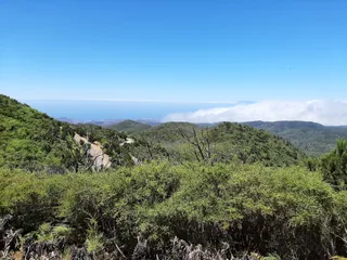 Garajonay