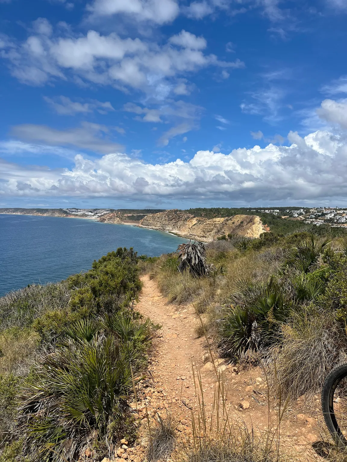 The Mountain Bike Adventure