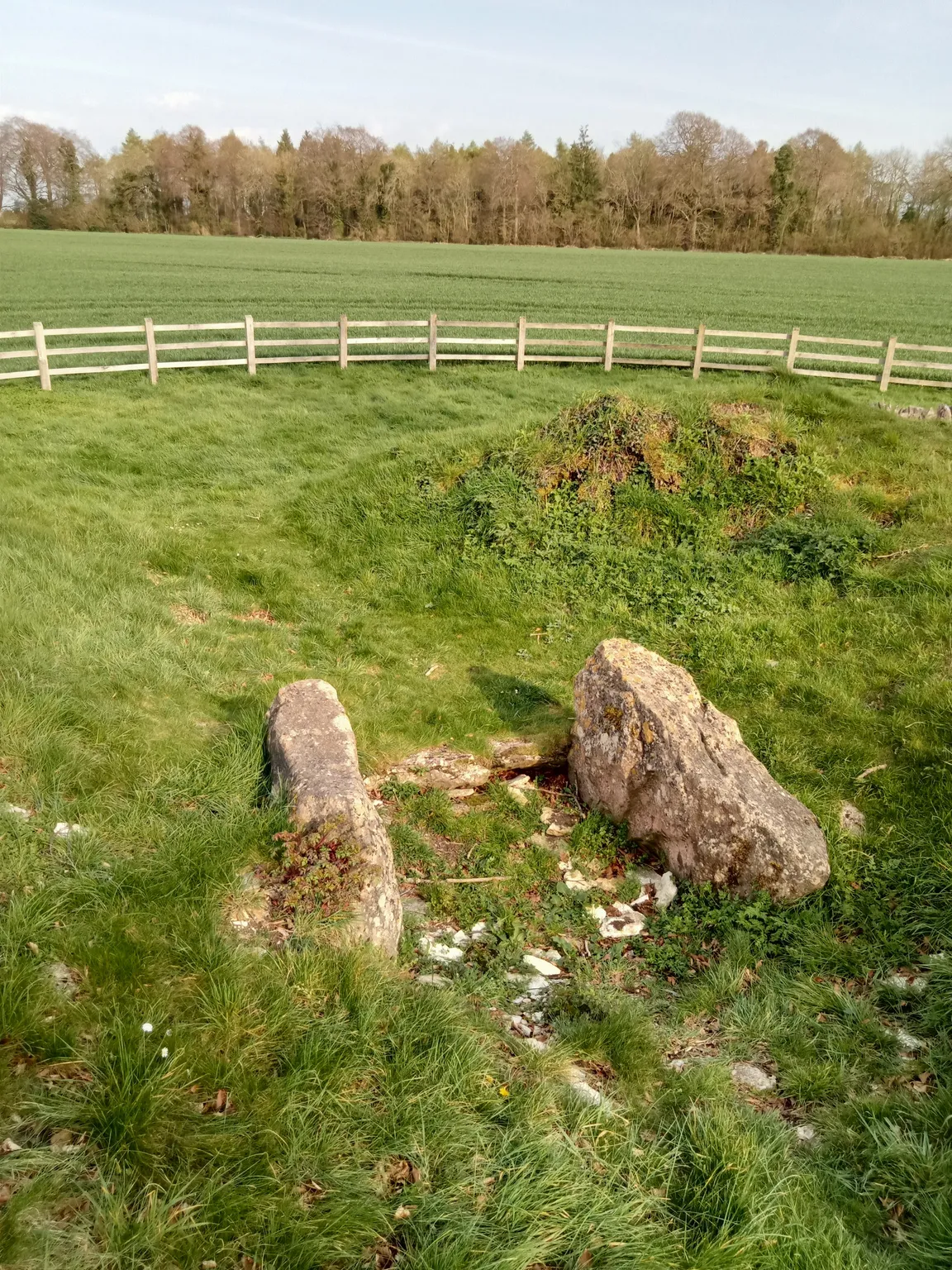 Rodmarton Long Barrow