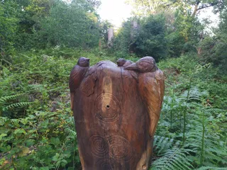 Bill Hill Bronze Age Barrow