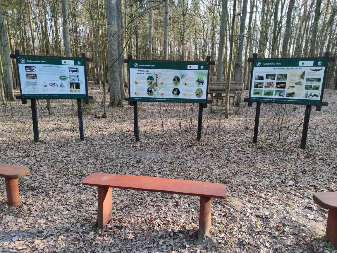 Ścieżka edukacyjna