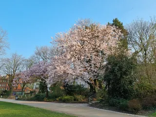 Südpark