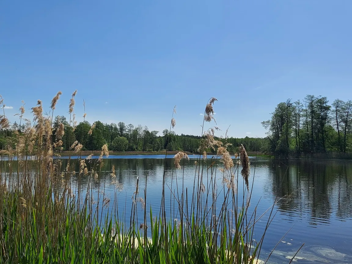 Jezioro Komosa