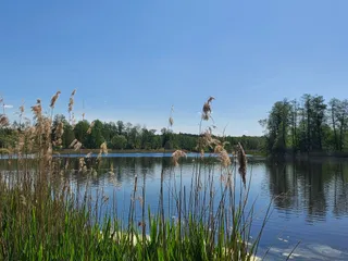 Jezioro Komosa