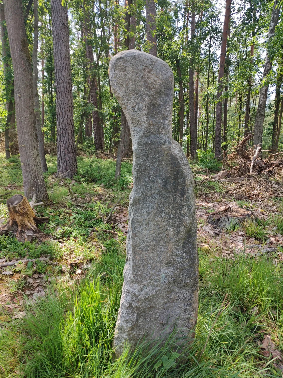 Kamienne Kręgi Gotów