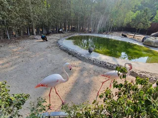 Hai Park Kiryat Motzkin