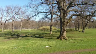 The Borre Mounds