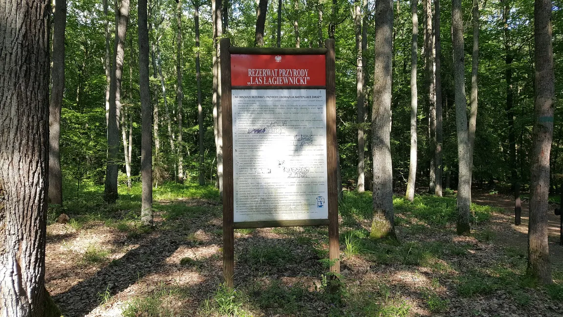 Rezerwat Przyrody Las Łagiewnicki