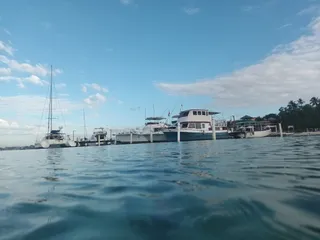 Ocean Soul RD