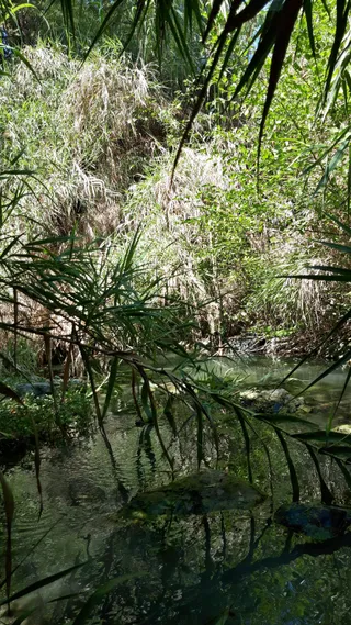 "Осиновый Остров "/ Wild places Нижнего / Limnatis - Limassol
