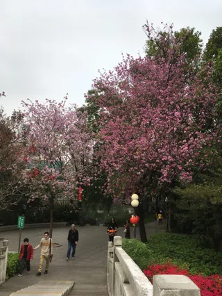 Wugong Bridge