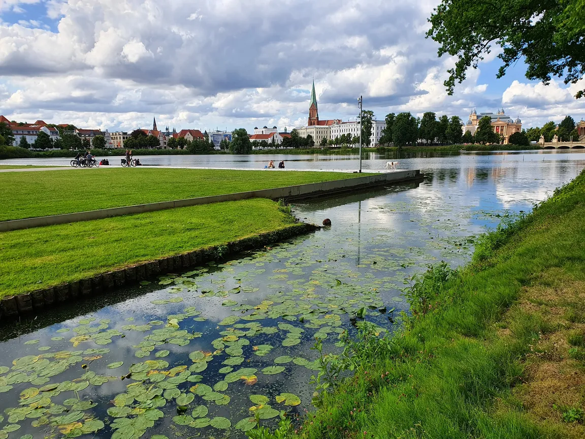 Schwimmende Wiese
