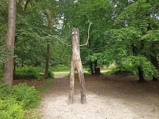 Haldon Forest Park - Forestry England