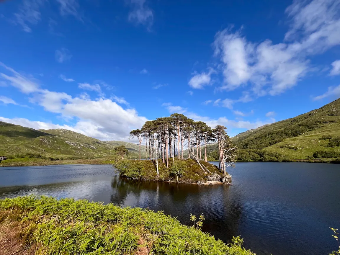 Eilean na Moine