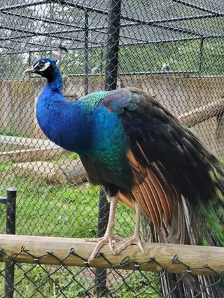 Two Rivers Wildlife Park