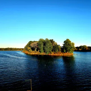 Busse Woods