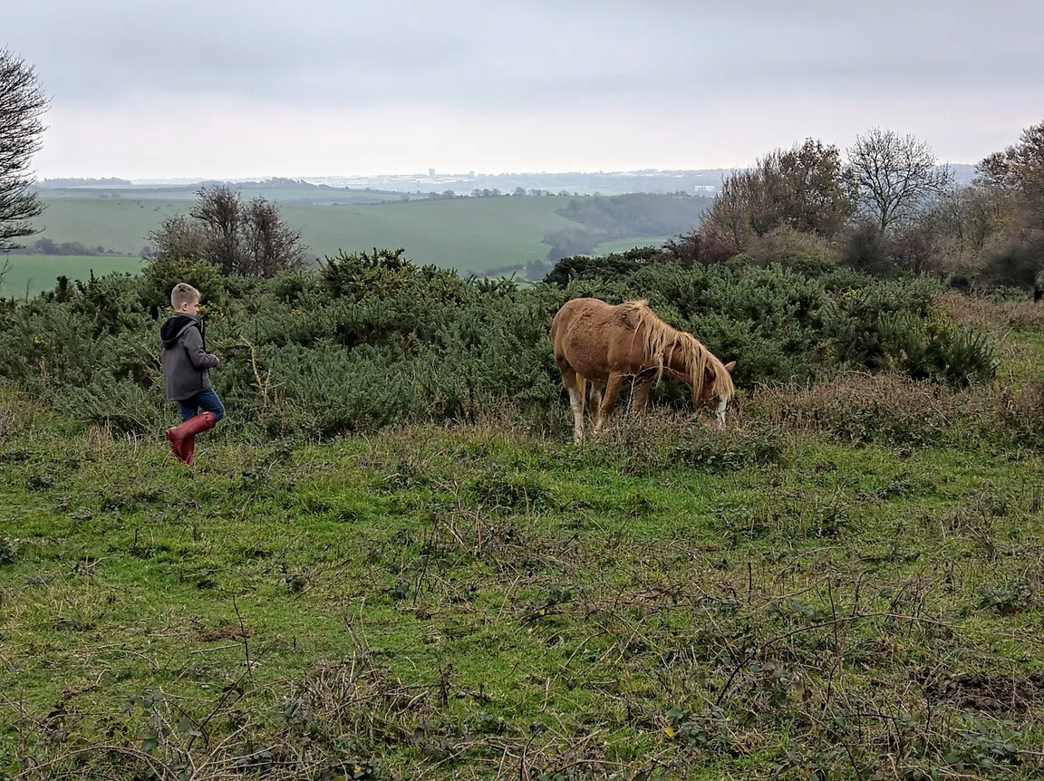 National Trust - Cissbury Ring