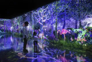 teamLab Forest Fukuoka