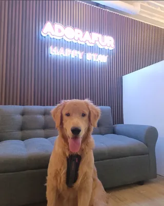 Adorafur Happy Stay