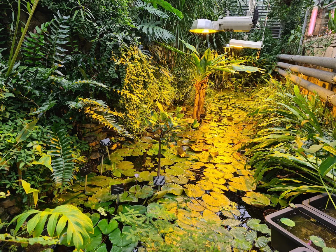 Ogród Botaniczny Uniwersytetu Warszawskiego
